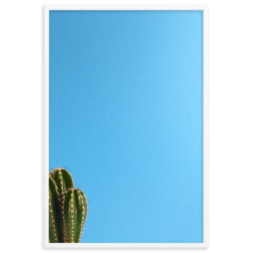 Poster | kleiner Kaktus, Wandbilder