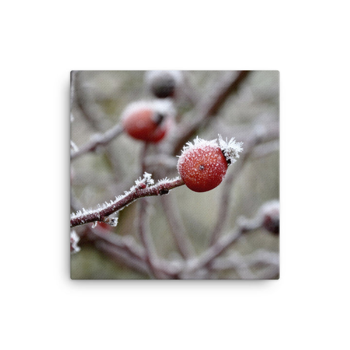 Canvas - Winter Berries II