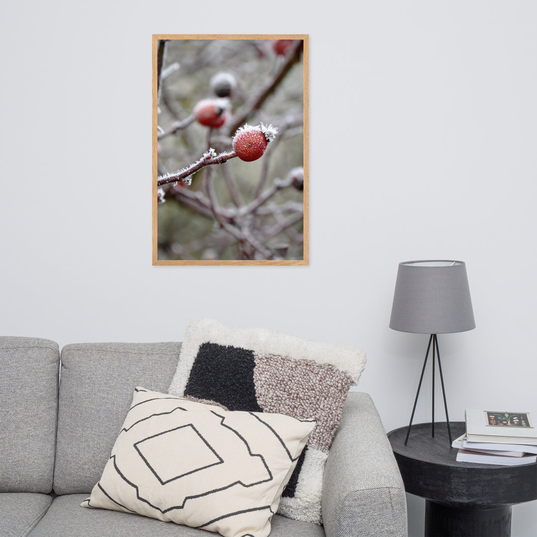 Poster - Winter Berries II