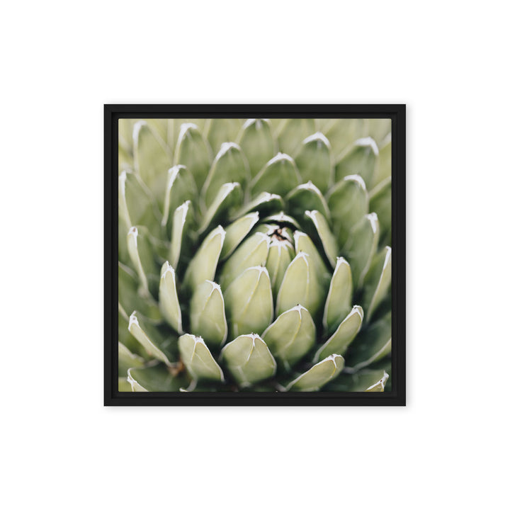 Leinwand - Cactus Flower II