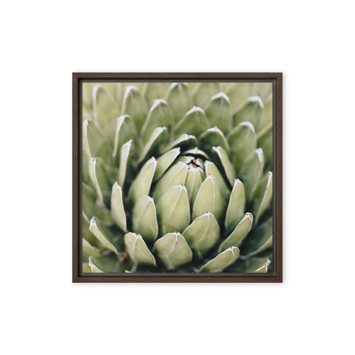 Canvas - Cactus Flower II