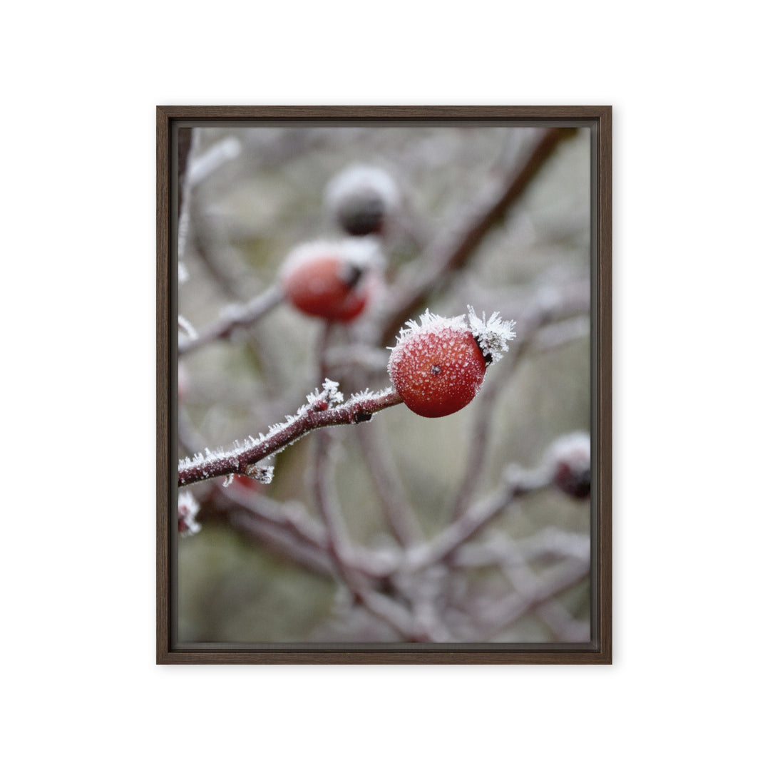 Canvas - Winter Berries II