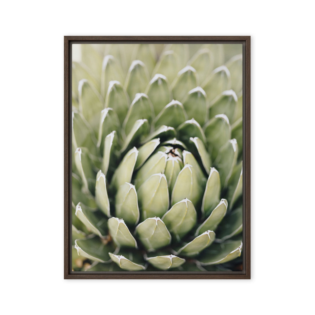 Leinwand - Cactus Flower II