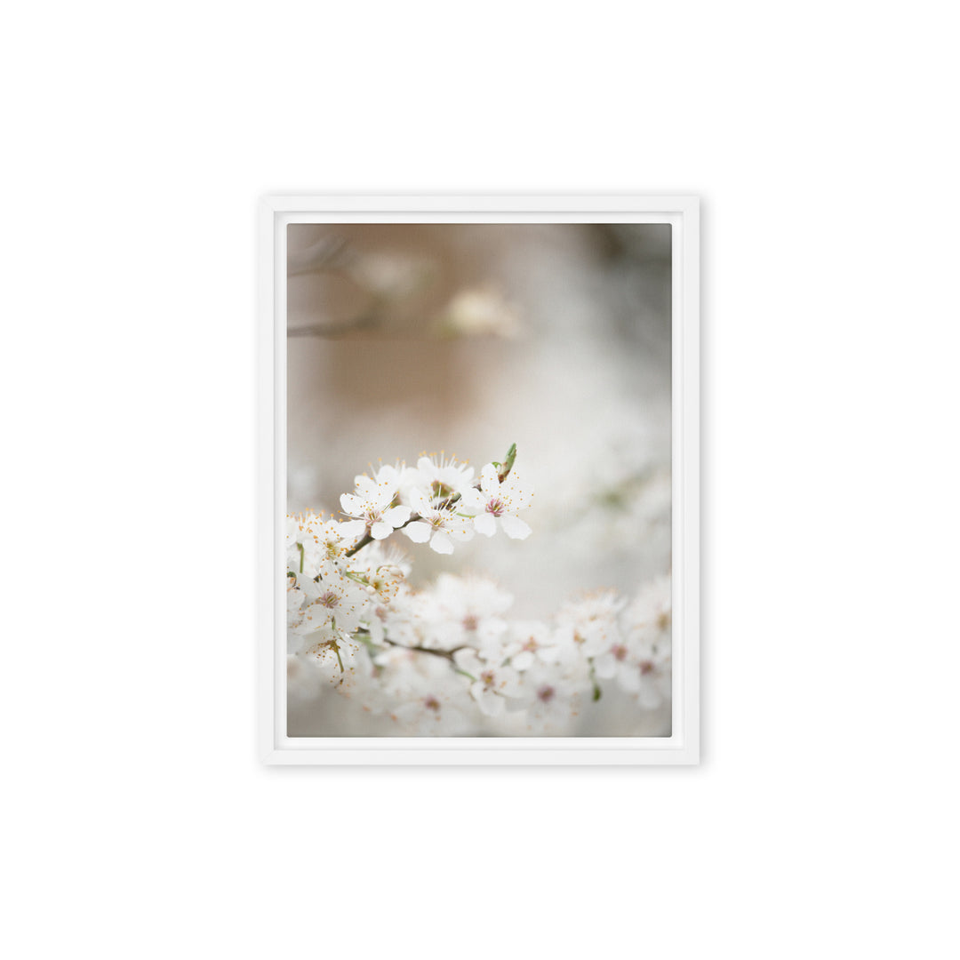 Leinwand - Kirschblüten