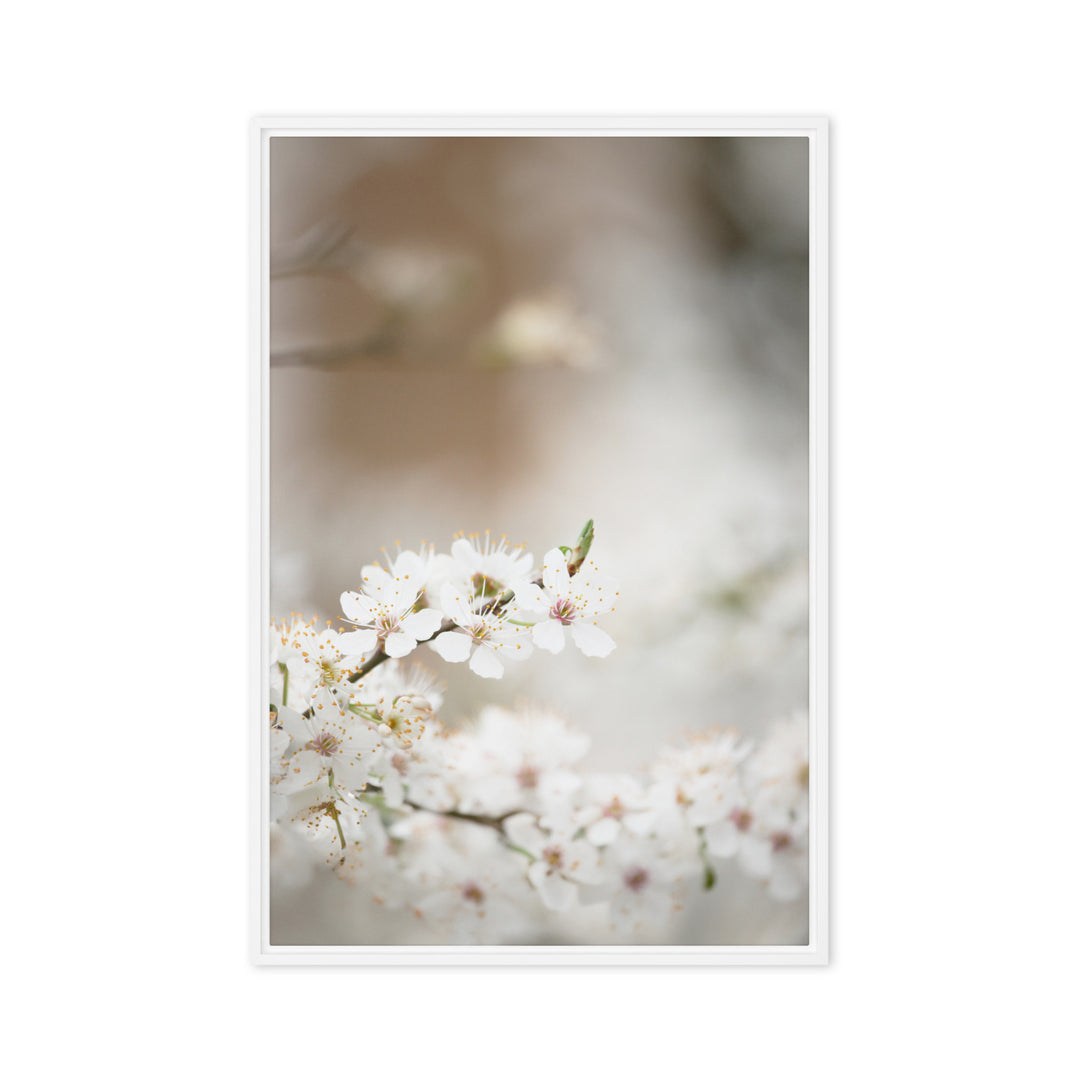 Canvas - Cherry Blossoms