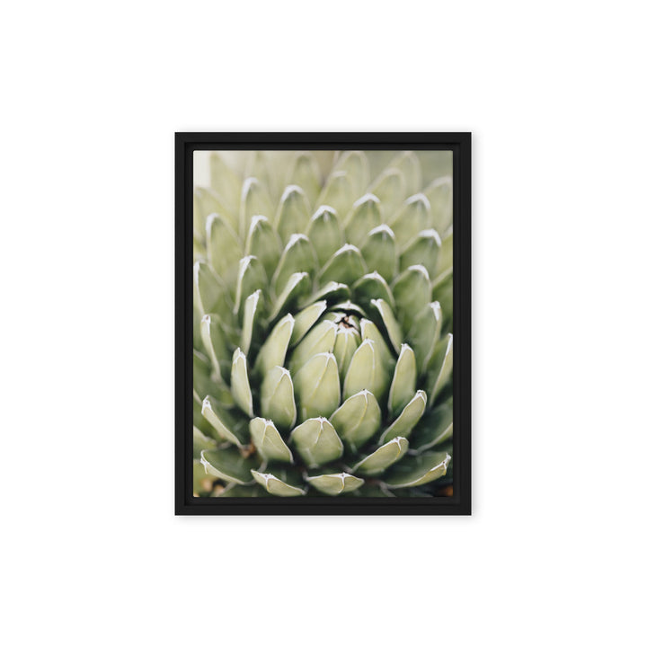 Leinwand - Cactus Flower II Kuratoren von artlia Schwarz / 31x41 cm (12″×16″) artlia