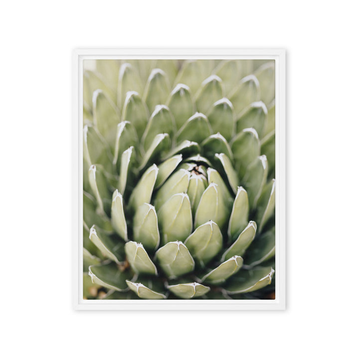 Leinwand - Cactus Flower II Kuratoren von artlia Weiß / 41x51 cm (16″×20″) artlia