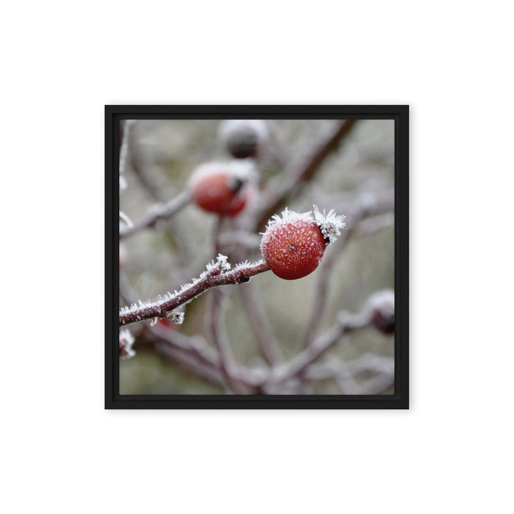 Leinwand - Winterbeeren II Kuratoren von artlia Schwarz / 41x41 cm (16″×16″) artlia