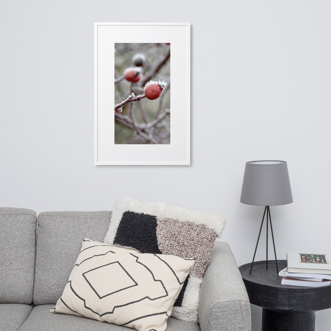 Poster with passe-partout - Winterberries II