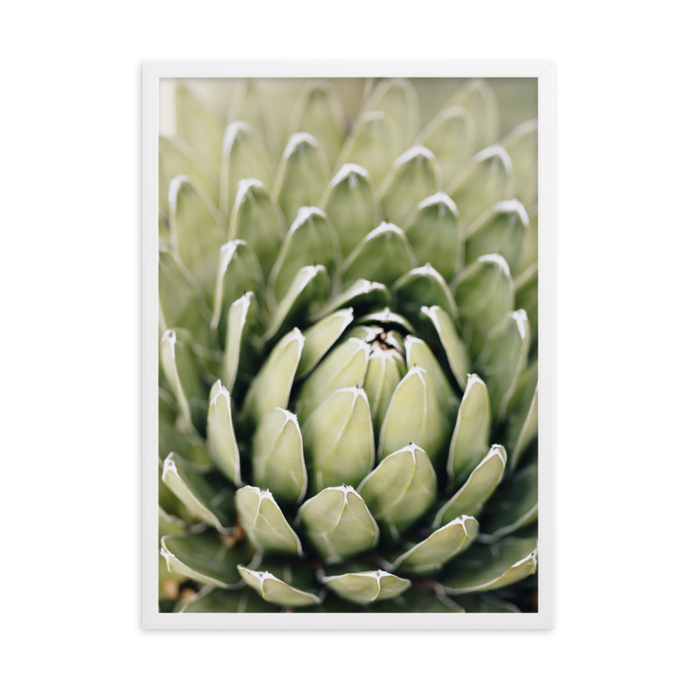 Poster - Cactus Flower II Kuratoren von artlia Weiß / 50×70 cm artlia