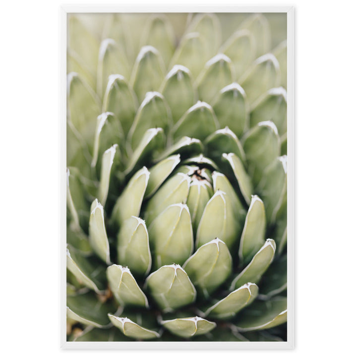 Poster - Cactus Flower II Kuratoren von artlia Weiß / 61×91 cm artlia