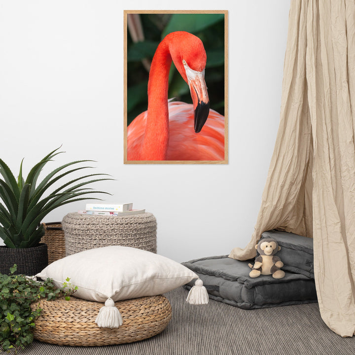 Poster - Flamingo, Phoenicopterus Ruber artlia