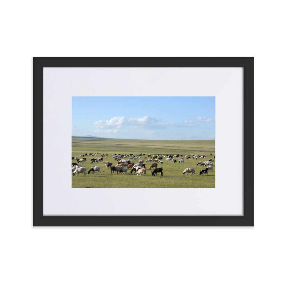 Poster mit Passepartout - Herd of sheep graze in Mongolian steppe Young Han Song Schwarz / 30×40 cm artlia