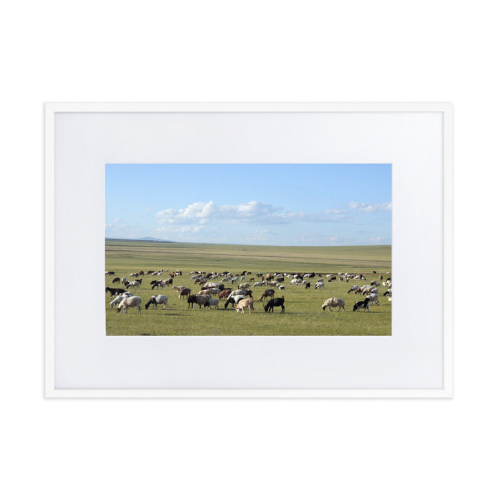 Poster mit Passepartout - Herd of sheep graze in Mongolian steppe Young Han Song Weiß / 50×70 cm artlia