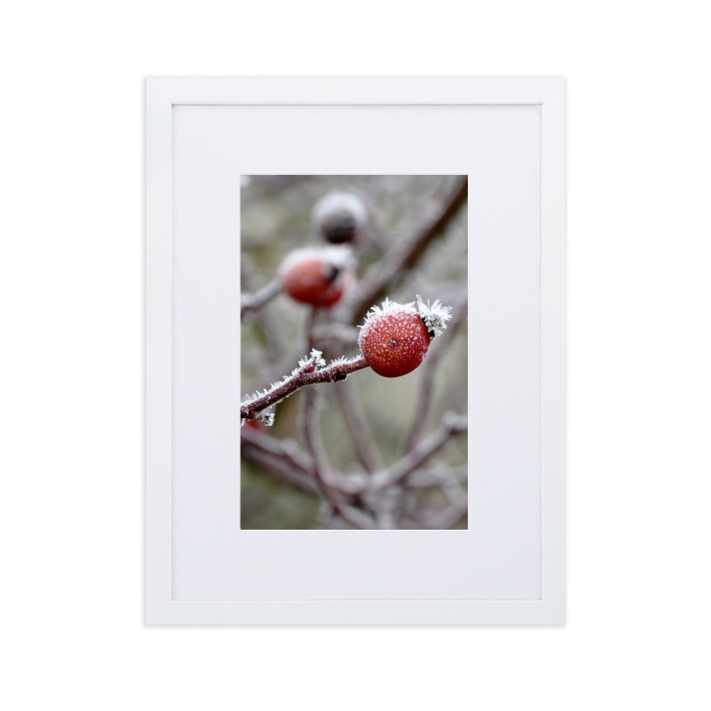 Poster mit Passepartout - Winterbeeren II Kuratoren von artlia Weiß / 30×40 cm artlia