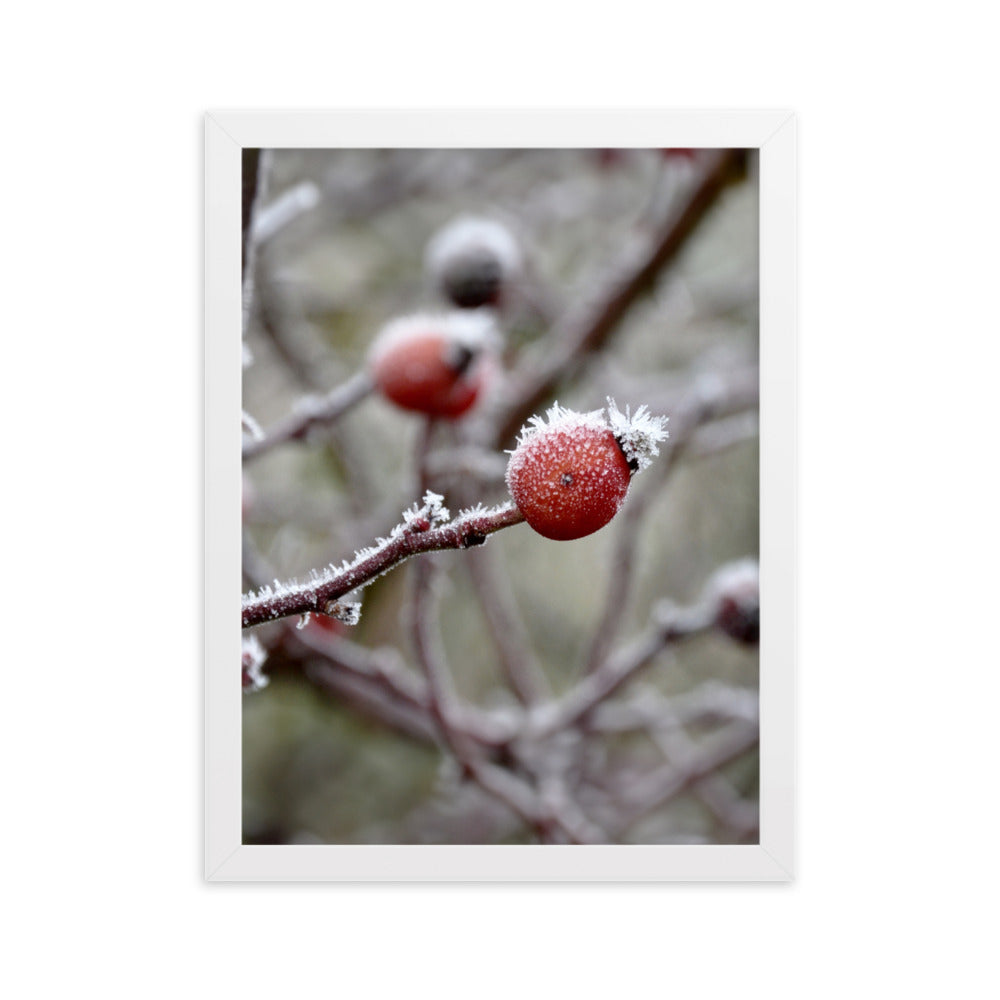 Poster - Winterbeeren II Kuratoren von artlia Weiß / 30×40 cm artlia