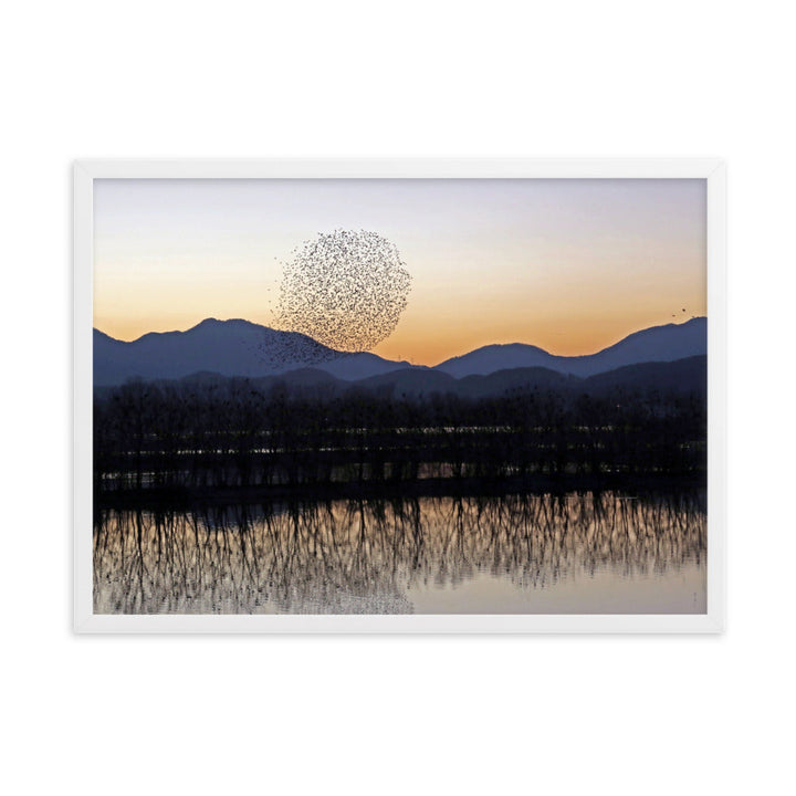 Sonnenuntergang im Junam-Wasserreservoir - Poster im Rahmen Young Han Song Weiß / 50×70 cm artlia