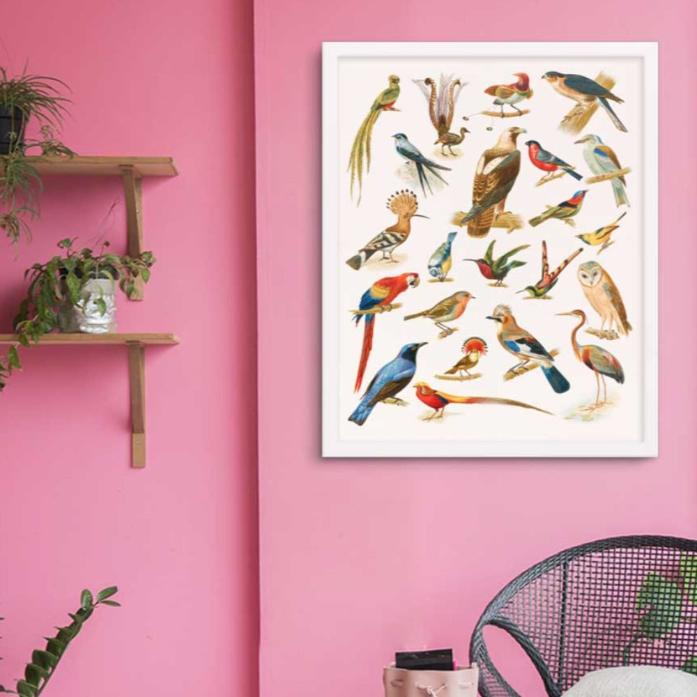 & artlia Wohnzimmer Poster Vogel für – Wandbilder