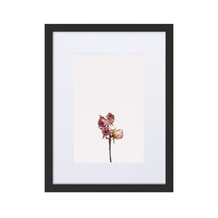 Dry Roses Trockenrosen - Poster im Rahmen mit Passepartout artlia Schwarz / 30×40 cm artlia