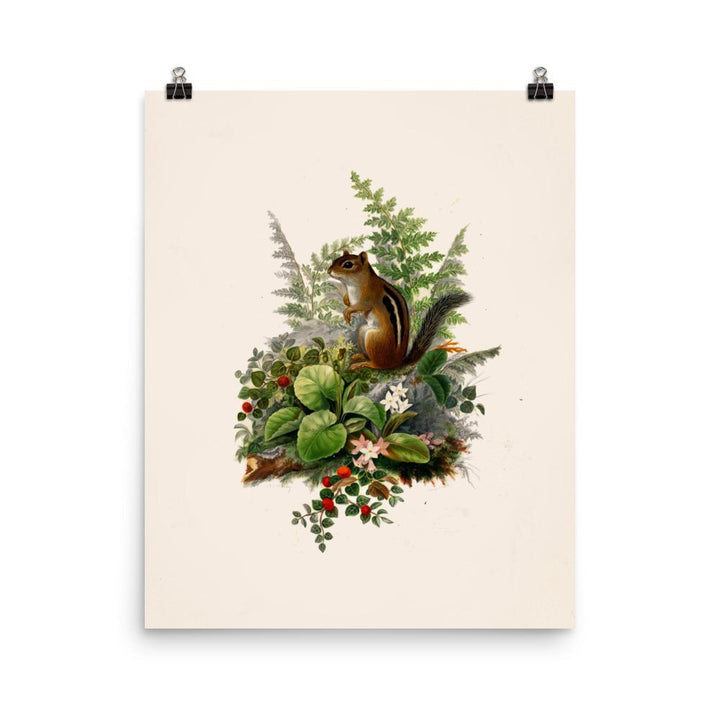 Eichhörnchen - Poster Boston Public Library 20x25 cm artlia