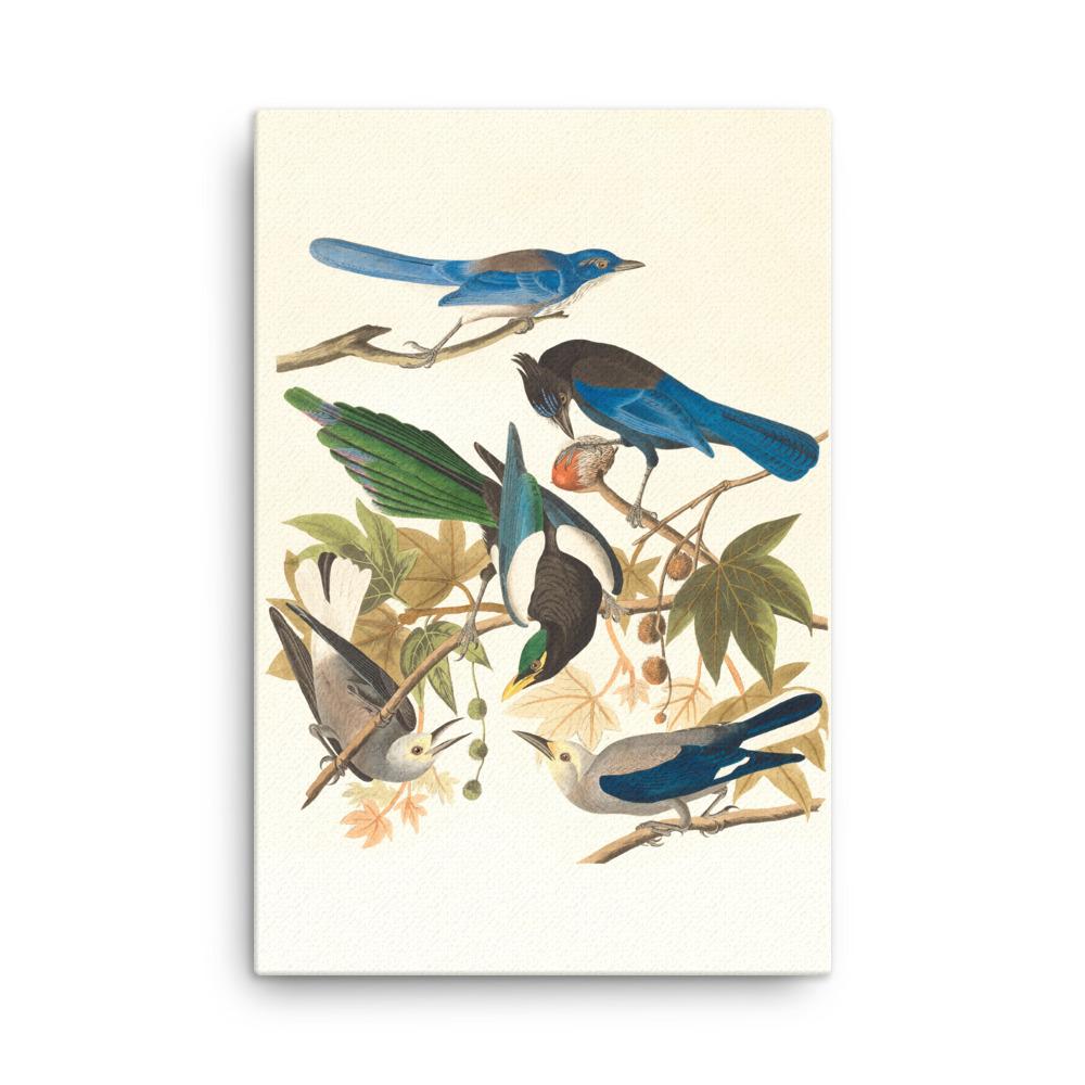 fünf Vögel auf den Ästen - Leinwand Boston Public Library 61x91 cm artlia