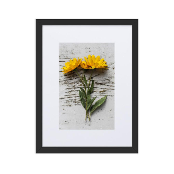 gelbe Blumen Yellow Flowers 6 - Poster im Rahmen mit Passepartout artlia Schwarz / 30×40 cm artlia