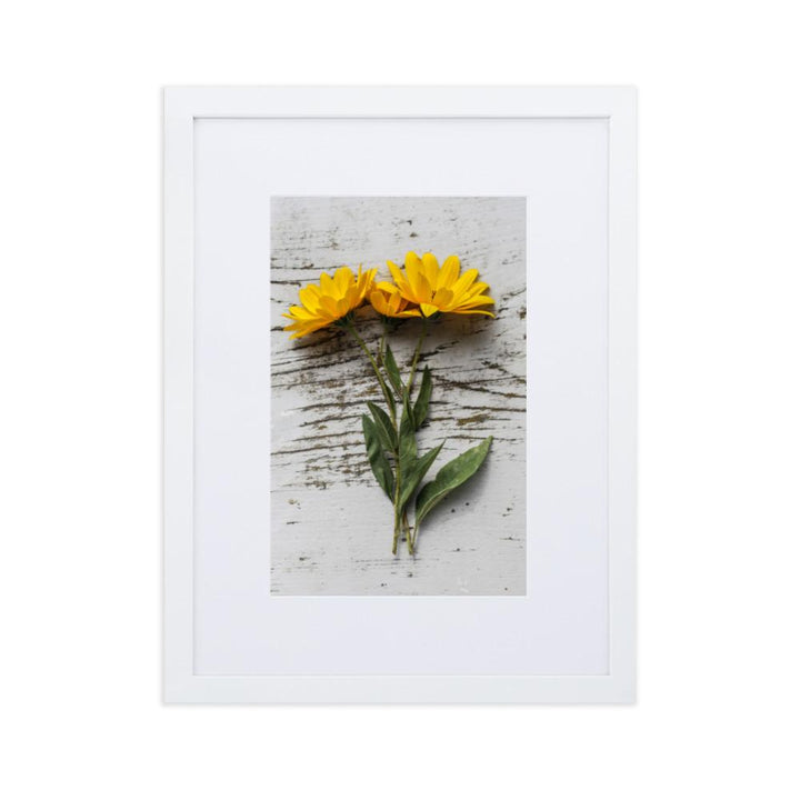 gelbe Blumen Yellow Flowers 6 - Poster im Rahmen mit Passepartout artlia Weiß / 30×40 cm artlia