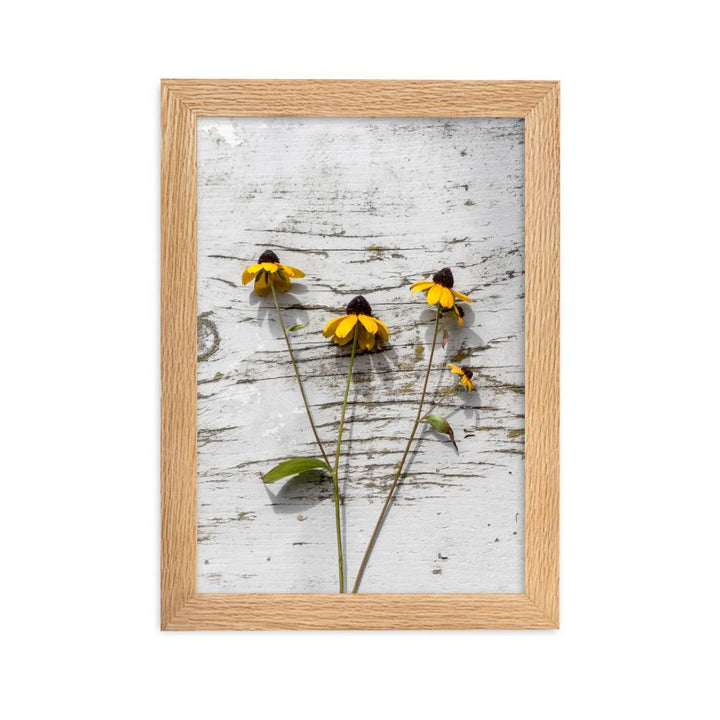 gelbe Blumen Yellow Flowers 7 - Poster im Rahmen artlia Oak / 21×30 cm artlia