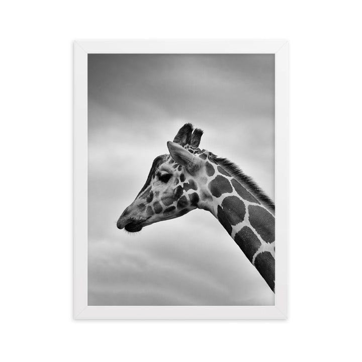 Giraffe - Poster im Rahmen Kuratoren von artlia Weiß / 30×40 cm artlia