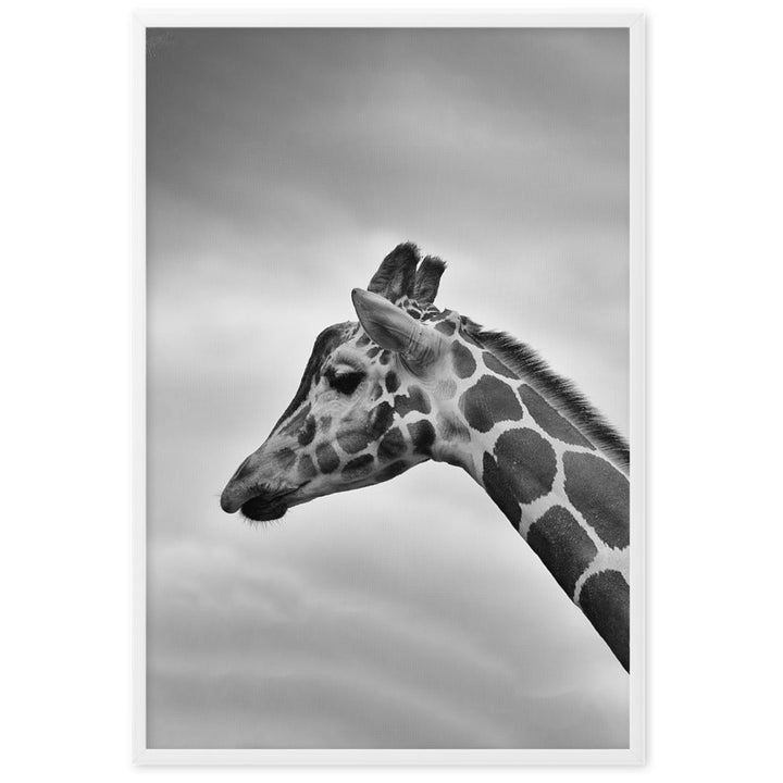 Giraffe - Poster im Rahmen Kuratoren von artlia Weiß / 61×91 cm artlia