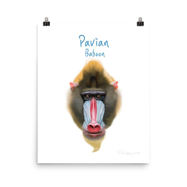 Pavian - Tier Poster für Kinder dear.bon.vivant 20x25 cm artlia