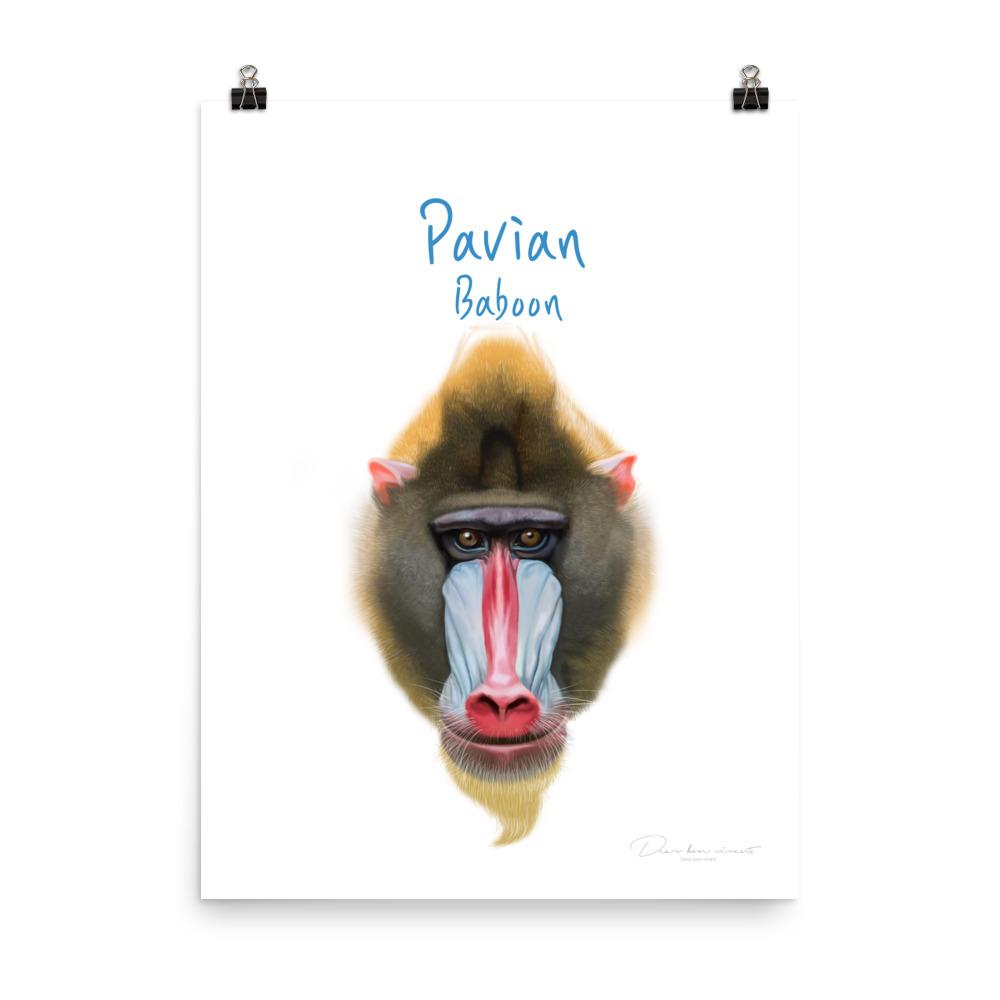 Pavian - Tier Poster für Kinder dear.bon.vivant 30x41 cm artlia