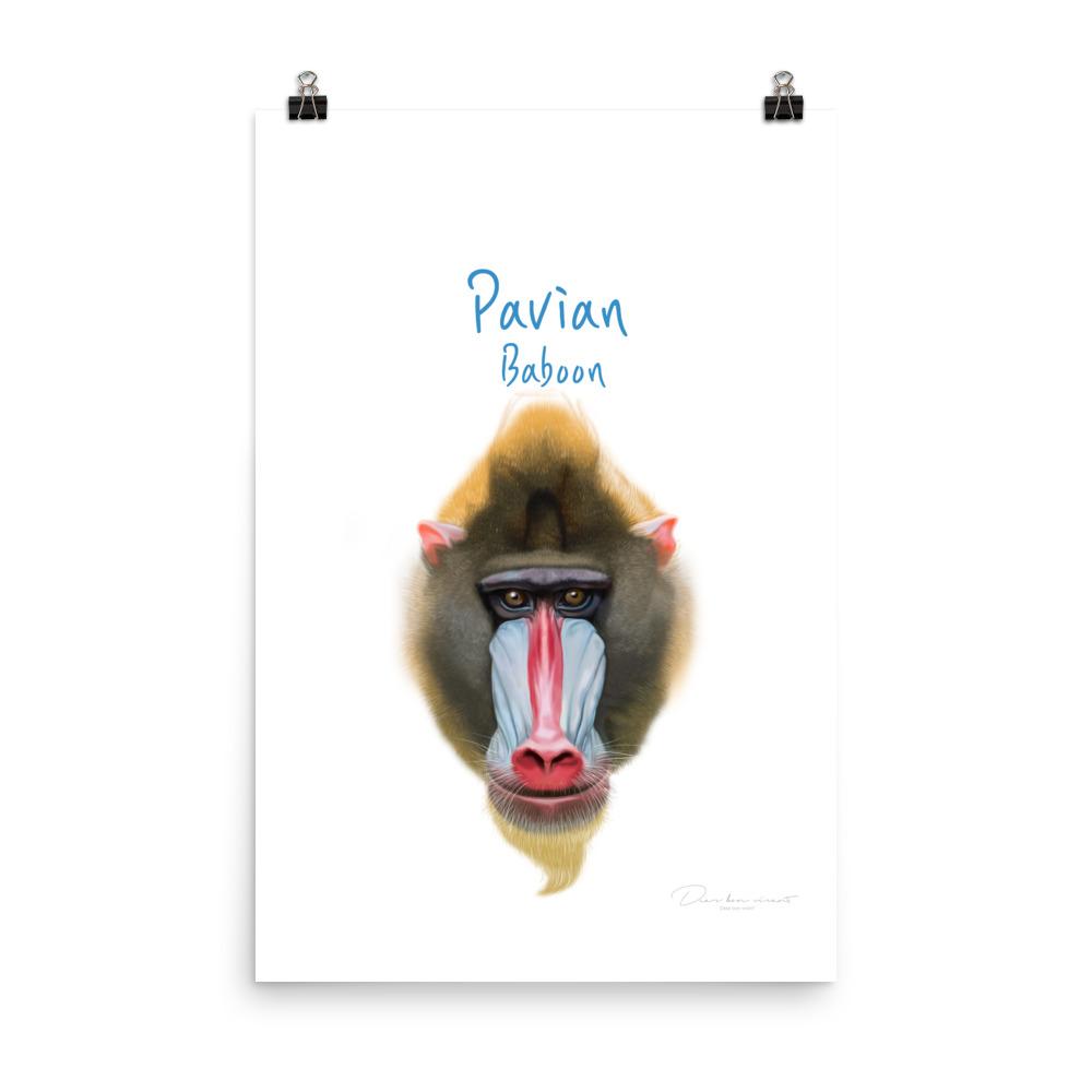 Pavian - Tier Poster für Kinder dear.bon.vivant 30x46 cm artlia