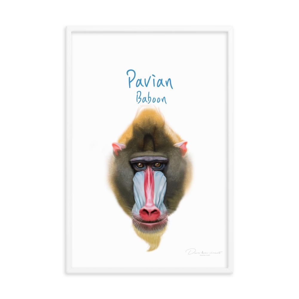 Pavian - Tier Poster für Kinder dear.bon.vivant artlia