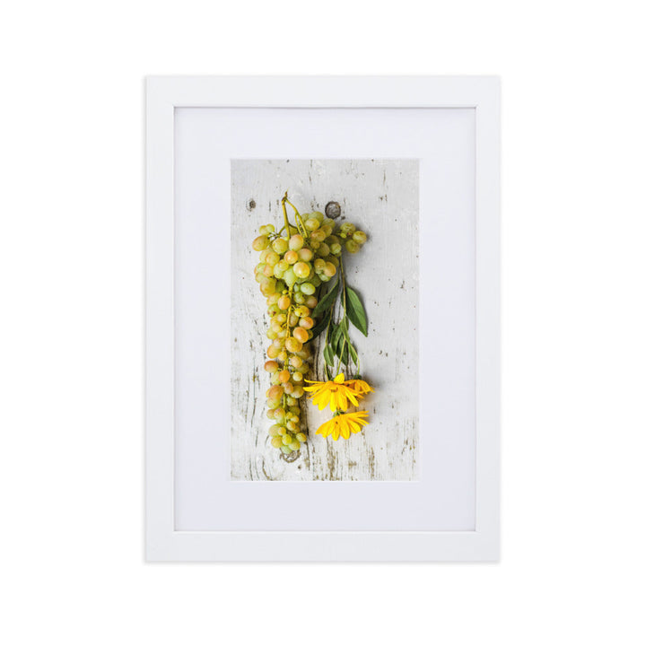Poster mit Passepartout - Weintrauben und Blumen Kuratoren von artlia Weiß / 21×30 cm artlia