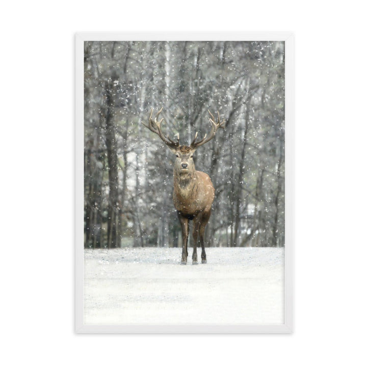 Rotwild im Schnee - Poster im Rahmen artlia Weiß / 50×70 cm artlia