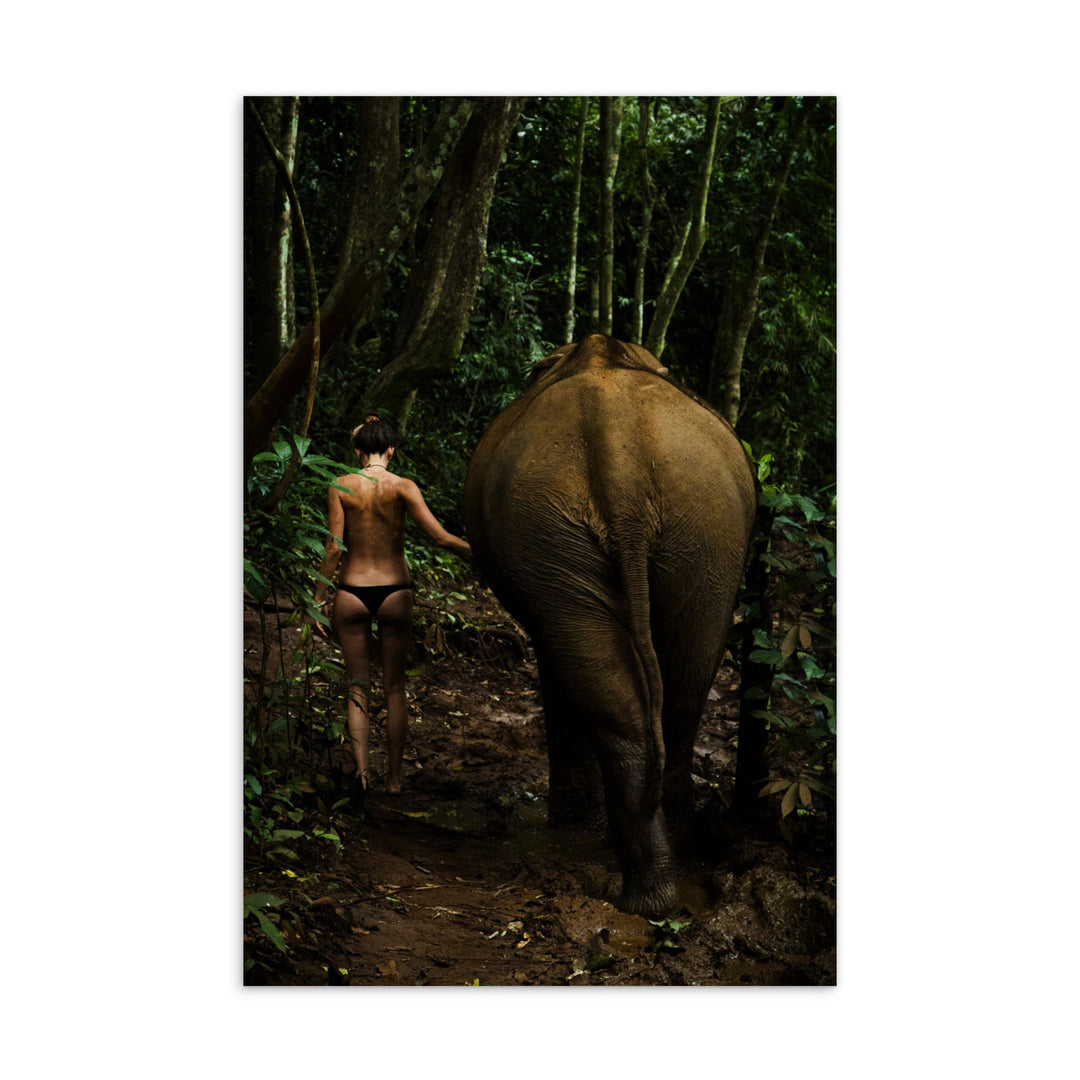 Walking into the Jungle - Postkarte Kuratoren von artlia artlia