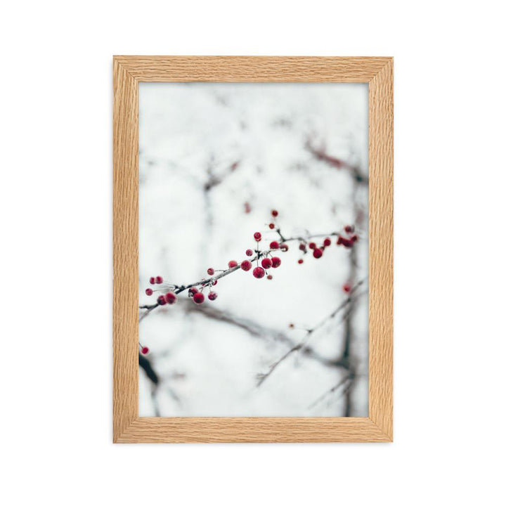 Winterbeeren Winterberries - Poster im Rahmen artlia Oak / 21×30 cm artlia