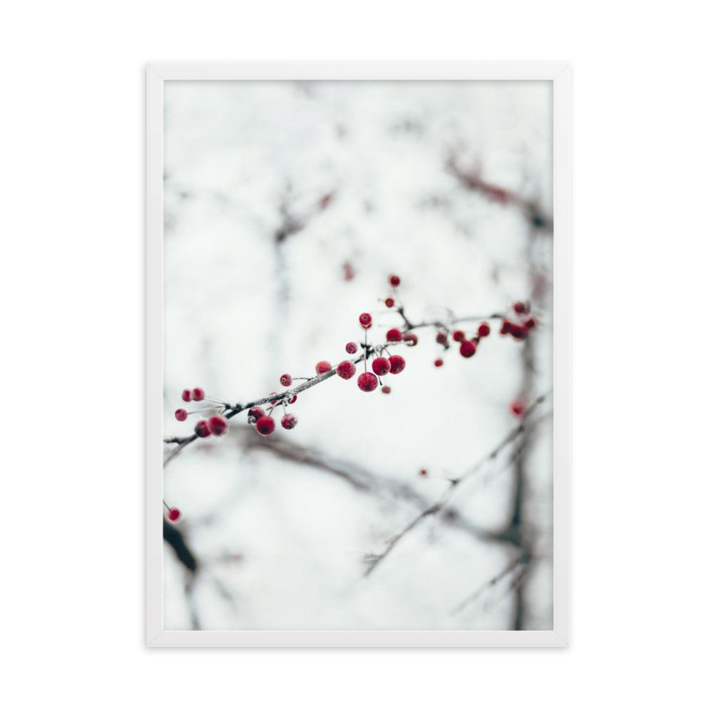 Winterbeeren Winterberries - Poster im Rahmen artlia Weiß / 50×70 cm artlia