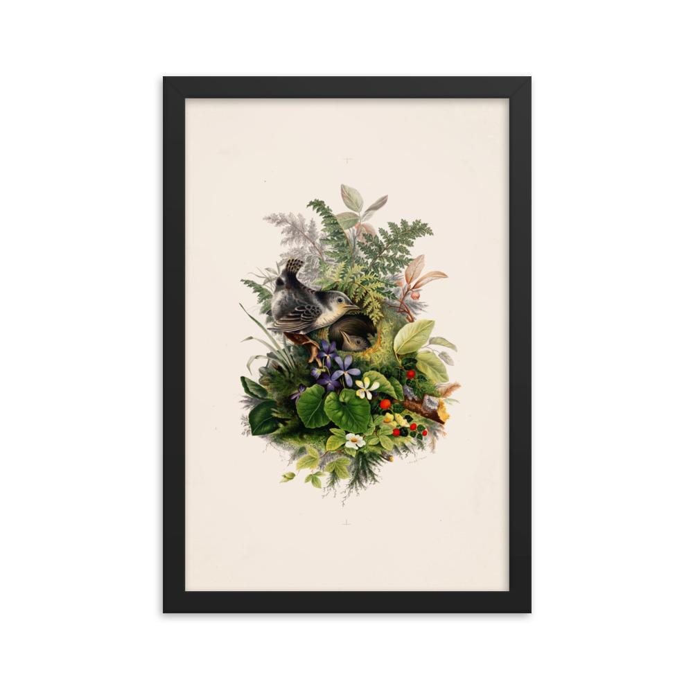 Zaunkönig und das Nest - Poster im Rahmen Boston Public Library schwarz / 30x45 cm artlia